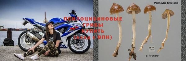 ALPHA PVP Абинск
