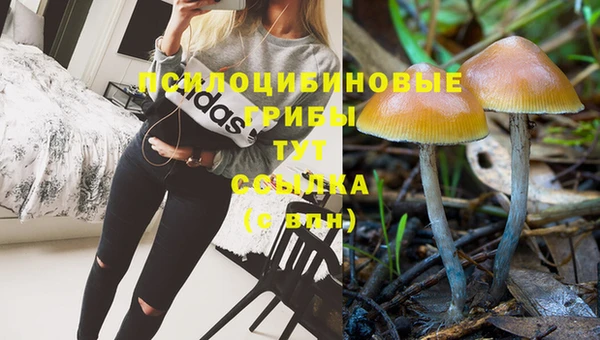 круглые Абаза